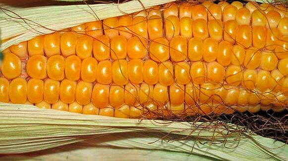 Ce să nu mănânci în dieta keto